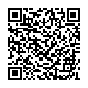 头上也戴了用来防止虫类滚落进颈脖的丛林软帽二维码生成