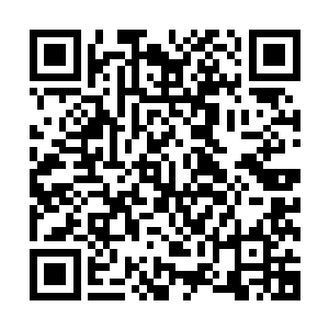 头顶之上的那九个金光大字在这一刻却是狠狠的碰撞到了一起二维码生成