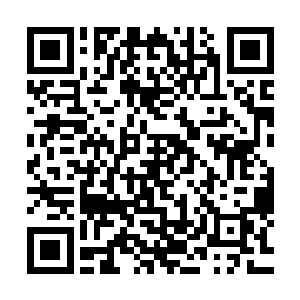 夸张一点的则是九长老带着他直接一路杀入了对方的家族之中二维码生成