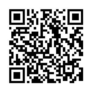 夹河市政府忽然搞了一个世界手工艺品展博会二维码生成