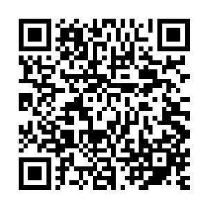 奇勋在金在珉隐蔽的按了电梯键之后就做好随时进去的准备了二维码生成