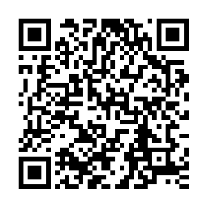 奇妙的灵能护盾让虚空猎手的体表变成了适合人类居住的家园二维码生成