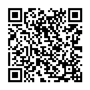 奇异的波动将秦逆流攻来的数道拳风纷纷反弹而回二维码生成
