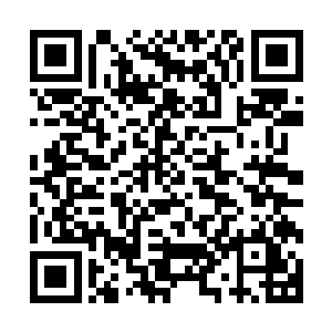 奇怪的是这些尸体并没有风化成骨架反而是在缓缓地腐化之中二维码生成
