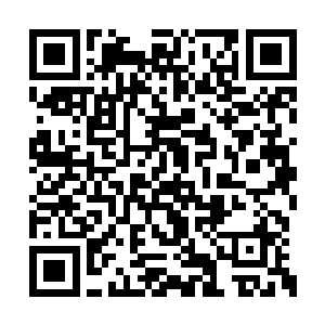 奈何困于财政压力和军事上北洋带来的巨大压力二维码生成