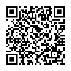 奈何扯动编织的障碍时还是咔嚓一声发出了声音二维码生成