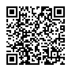 奉命去办事的凌海之王与桉琳以及汶水主教都赶了过来二维码生成