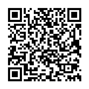 奖活动真正吸引人的也就是这么一个豪车大奖了二维码生成