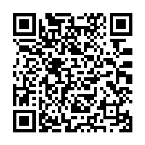 奥兰多的表演虽然还有些舞台剧略有些夸张的表演方式二维码生成