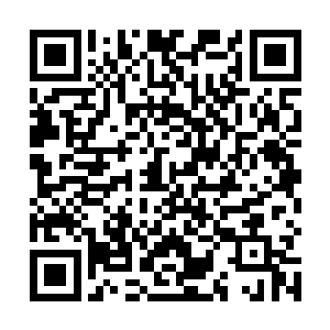 奥利居然丢下自己跑了――穆根当时还有点小诧异来着二维码生成