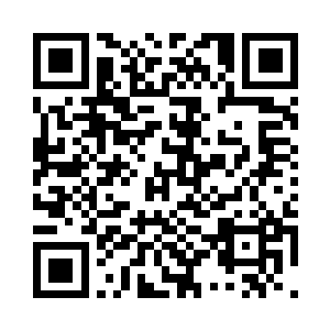 奥利维亚从善如流地再放一条鱼进去二维码生成