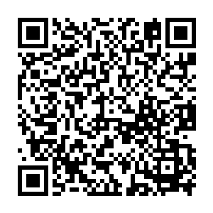奥利维亚和穆根不知不觉就吃掉了好多好多珍贵的不得了的顶级营养餐二维码生成