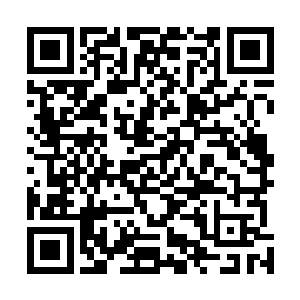 奥利维亚的视线最终落在了穆根身上花里胡哨的厚外套上二维码生成