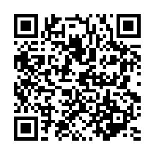 奥利维亚被罗思塞元帅任命为帝国第一集团军的总指挥官二维码生成