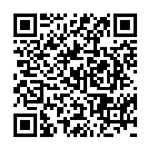 奥运会男子100米资格赛第3组的运动员全部冲出了跑道……二维码生成