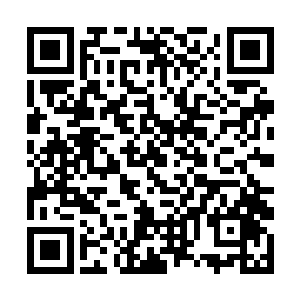 女人们有了足够的时间来一样一样的研究果粉的食物二维码生成