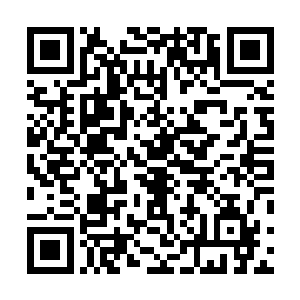 女娲的掌心也被楚旬硬生生的斩出了一道深刻坚固的伤口二维码生成