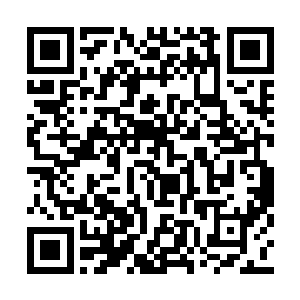 女孩清冽的目光就这样毫无遮掩的直勾勾望着他二维码生成