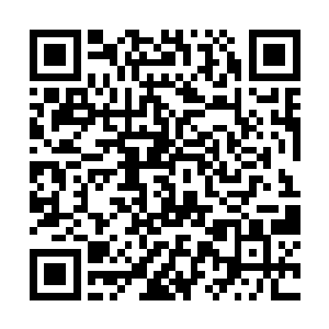 女恐怖分子的声音通过飞机广播传遍了所有人的耳朵二维码生成