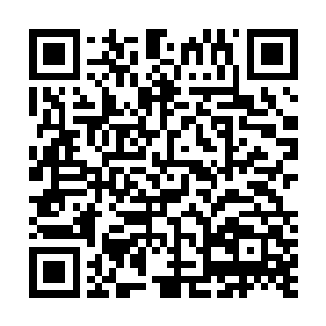 女王大人也是将楚枫从丹道仙宗那些人身上掠夺来的本源二维码生成