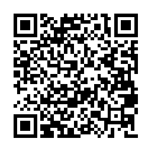 女骑士的脸上出现角质层一样的带着鳞片的皮肤二维码生成