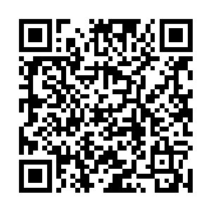 奴婢不知道您在说什么……奴婢……什么都不知道……二维码生成