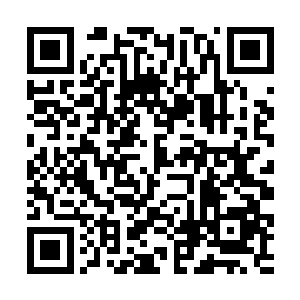 奴婢不知道我家二公子哪里因为奴婢违背您的旨意了二维码生成