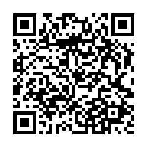 奴婢也说不上来……只是觉得大小姐从假山上摔下来二维码生成