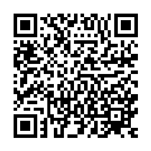 她一下子就看到刚刚生出来在竹席上微微动着的腥红的小肉球二维码生成
