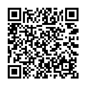 她一下子想起一上午都穿着这个破洞衣裳到处跑二维码生成