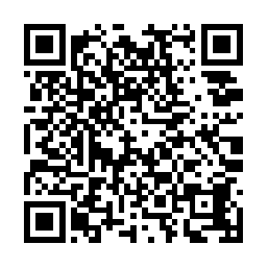 她一个什么都不会做的大家小姐在哪里能伺候什么二维码生成