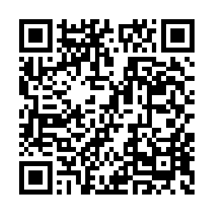 她一定是看到了之前那枚末日的发射者是我……二维码生成