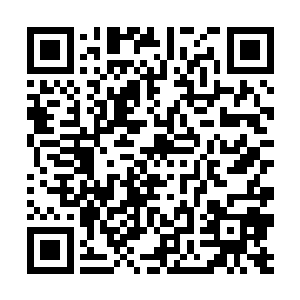 她一早就想窥探这面具底下的脸到底毁到什么程度了二维码生成