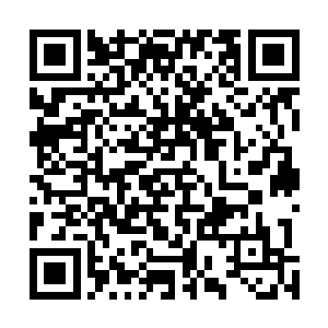 她一直以为自己是慕容雪与晴天的道一起孕育出来的道婴二维码生成