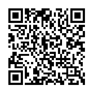 她一睁开眼便发现自己出现在一颗繁茂古树下方二维码生成