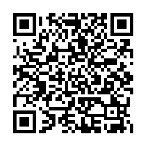 她下车后直接打的或坐公交车去市公安局找陈观二维码生成