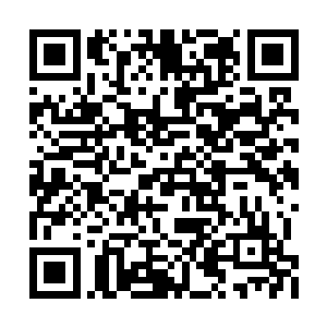 她不仅将自己在游戏中见识的信息片段回忆起来二维码生成