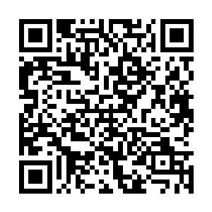 她不介意在他的长剑刺穿秦洛的胸口之前把他干掉二维码生成