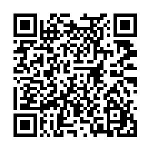 她不介意把李菁华住的院子按照自己擅长的来打造二维码生成