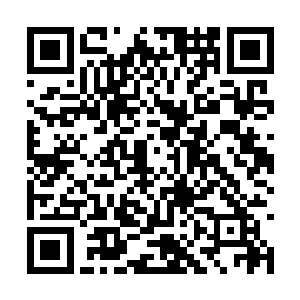 她不但没有消耗灵力反而好像修炼了好多时间一样二维码生成