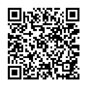 她不得不将自己的智慧之力灌注到马文的脑海中二维码生成