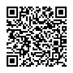 她不忘替家里那个幸伙打包了最后一块芒果抹茶蛋糕二维码生成