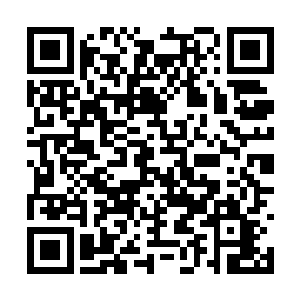 她不愿意亲近的这两个女人将会改变她一生的命运二维码生成