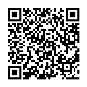 她不愿意住在玛德利王后给她特别收拾的豪华大房里二维码生成