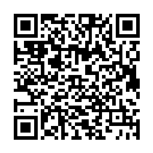 她不用去烦心如何与澳大利亚的四十万白种人作战二维码生成