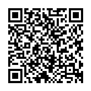 她不知不觉中将现实自己学到的格斗动作慢慢融合进机甲操控二维码生成