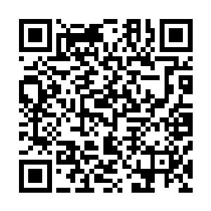 她不知道作为一个婢女如果看书的话是否逾越了奴婢的本分二维码生成