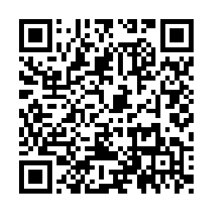 她不知道李耀究竟在树干上埋设了多少晶石炸弹二维码生成