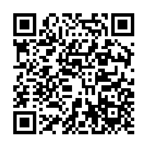 她不觉得大长公主是那等被皇室娇生惯养下不知风雨的公主二维码生成