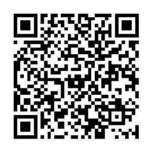 她举着大刀的手还没来得及给自己身体重新排上防御罩二维码生成